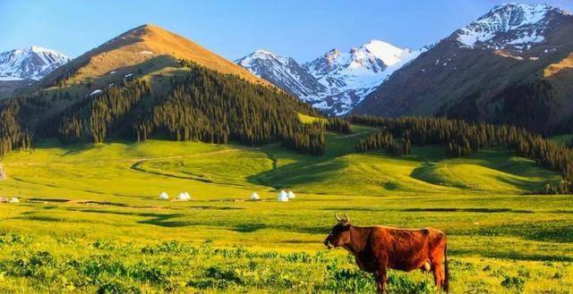 新疆深度游，揭秘神秘新疆的美丽风光